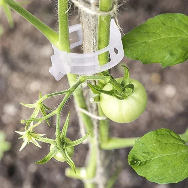 Pflanzenstützen Clips – Wiederverwendbare Pflanzenhalter für den Garten