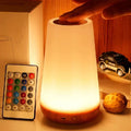 Dimmable night light with remote control and timer function
