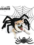 Halloween Hundekostüm Spinne mit Verstellbarem Klettverschluss