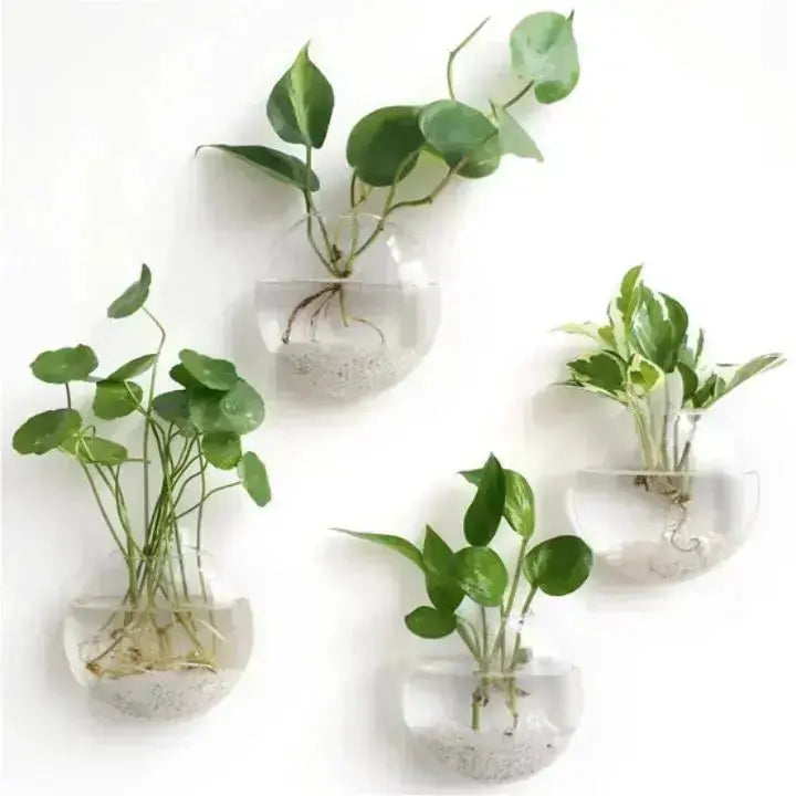 Minimalistische Glas Wandvase Für Stilvolle Raumdekoration product image 1