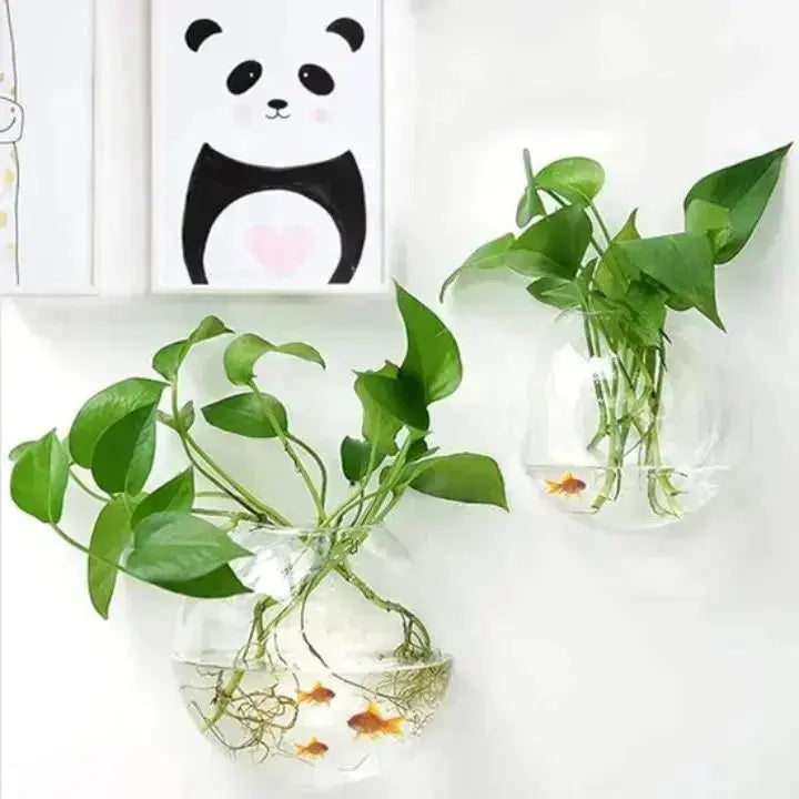 Glas Wandvase Minimalistischer Pflanzenhalter Für Dekor product image 5
