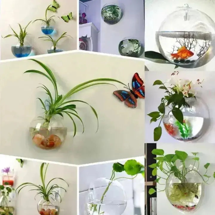 Glas Wandvase Minimalistischer Pflanzenhalter Für Dekor product image 6