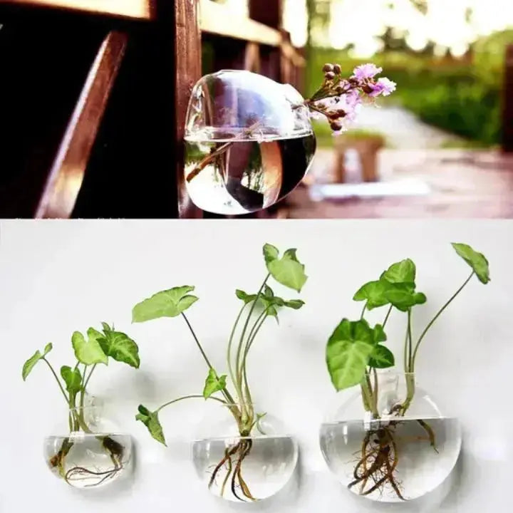 Glas Wandvase Minimalistischer Pflanzenhalter Für Dekor product image 7