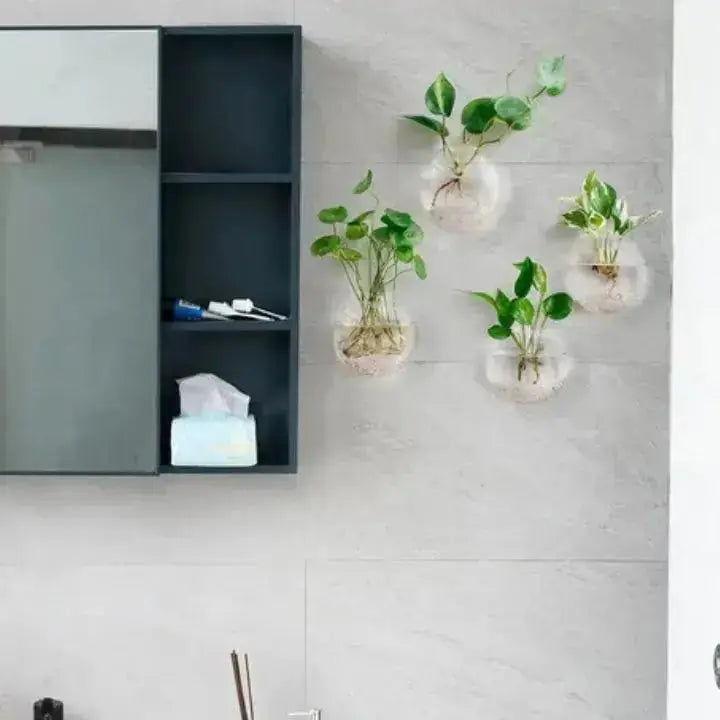 Glas Wandvase Minimalistischer Pflanzenhalter Für Dekor product image 10