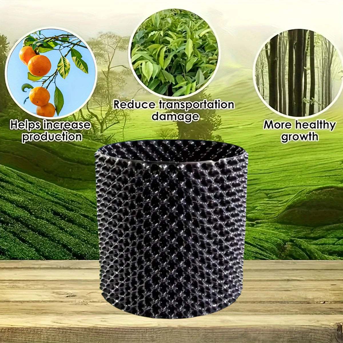 Wurzelführungssystem für gesundes Pflanzenwachstum im Garten