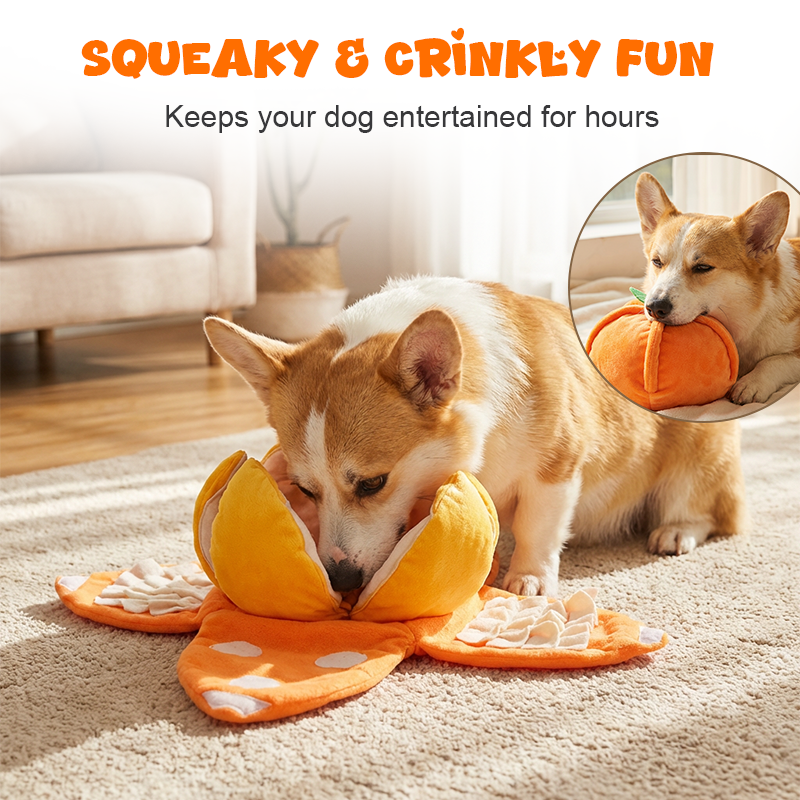 Interaktives Plüsch-Hundespielzeug mit Quietscher – Versteck-Puzzle für Leckerchen product image 7