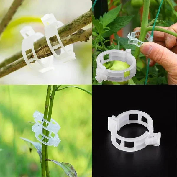Plant support clips - reusable plant holders for the garden