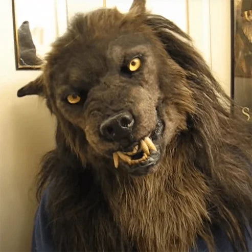 Realistische Werwolf Maske aus Silikon und Kunstfell für Halloween