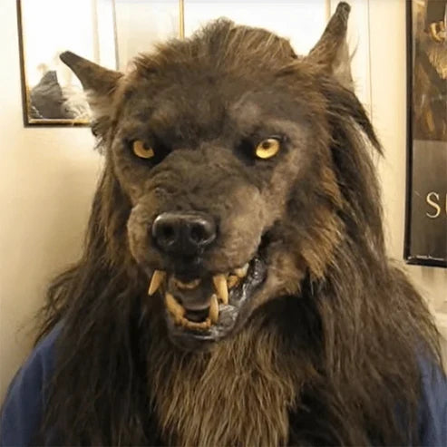 Realistische Werwolf Maske aus Silikon und Kunstfell für Halloween