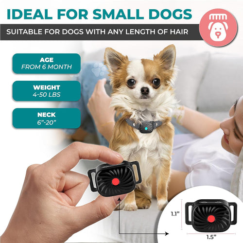 Antibellhalsband für kleine Hunde mit Ton und Vibration