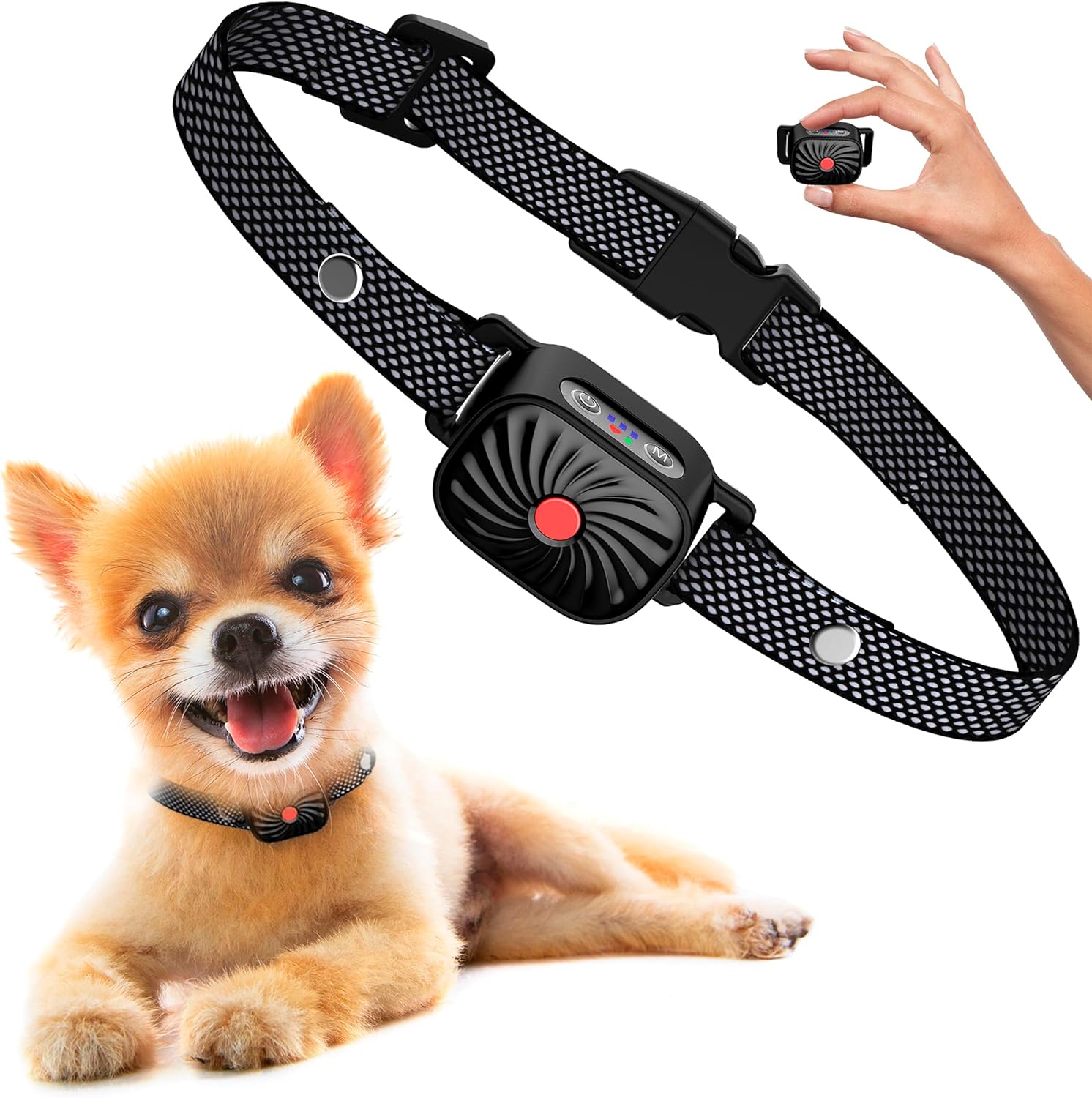 Antibellhalsband für kleine Hunde mit Ton und Vibration