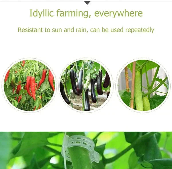 Plant support clips - reusable plant holders for the garden