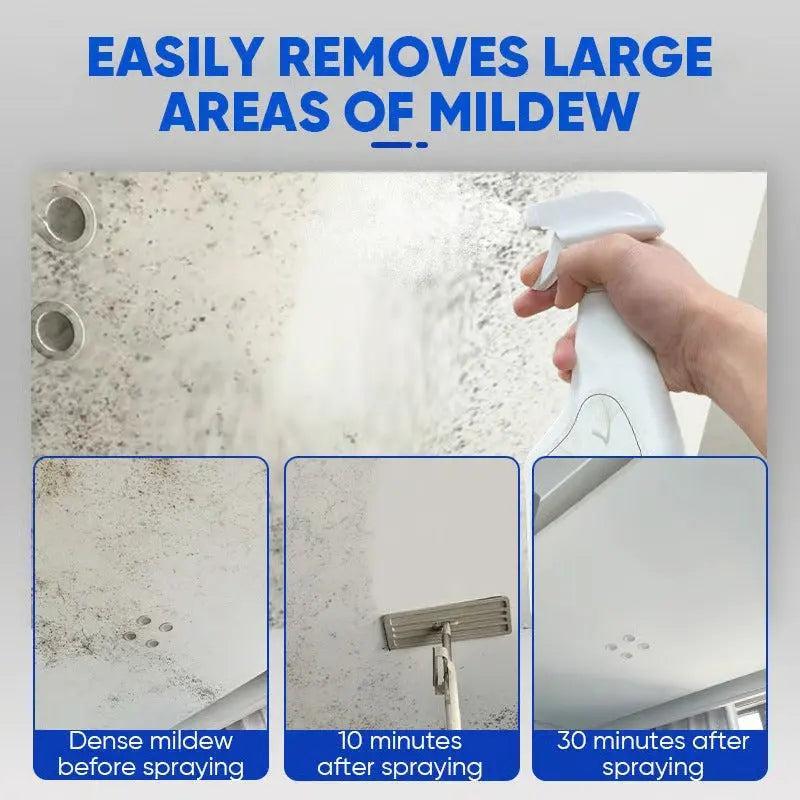 Anti-Schimmel Spray removing large mildew areas from ceiling surface