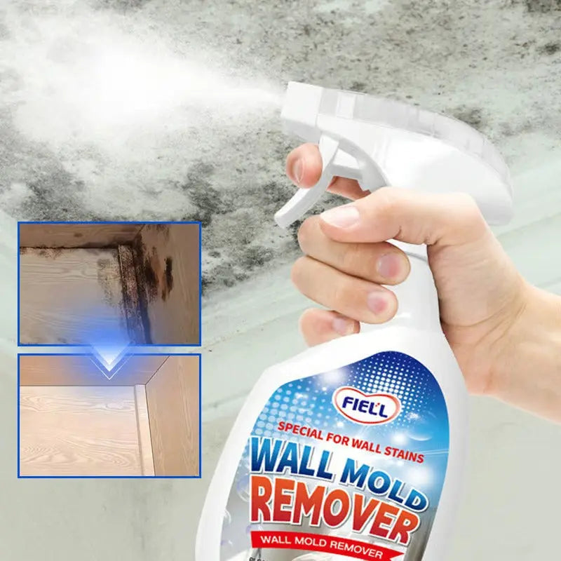 Anti-Schimmel Spray bottle being used on moldy wall surface