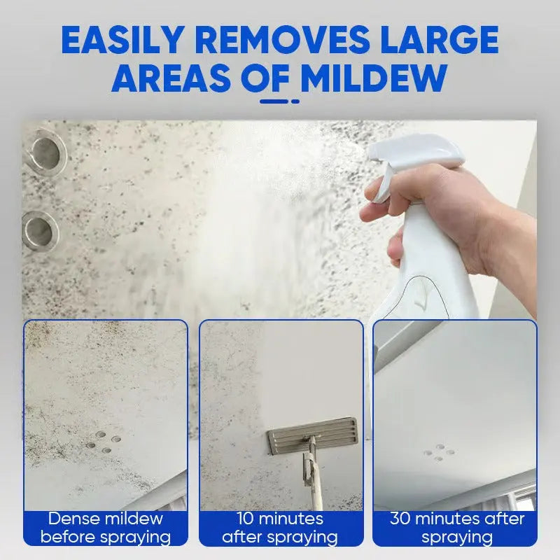 Anti-Schimmel Spray removing large mildew areas from ceiling surface