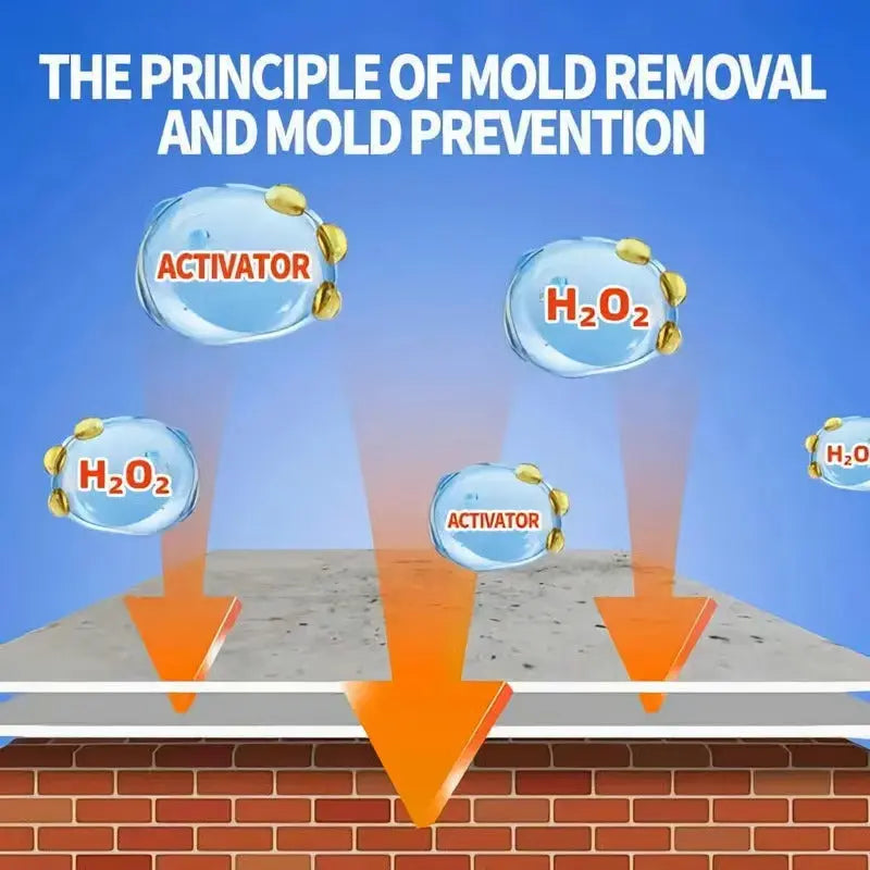 Schimmel removal diagram showing activator and H2O2 formula penetration