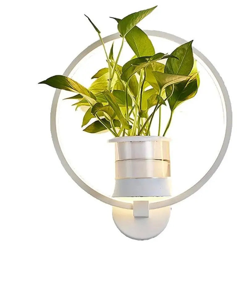 Botanische Wandleuchte mit integriertem Pflanzenelement product image 2