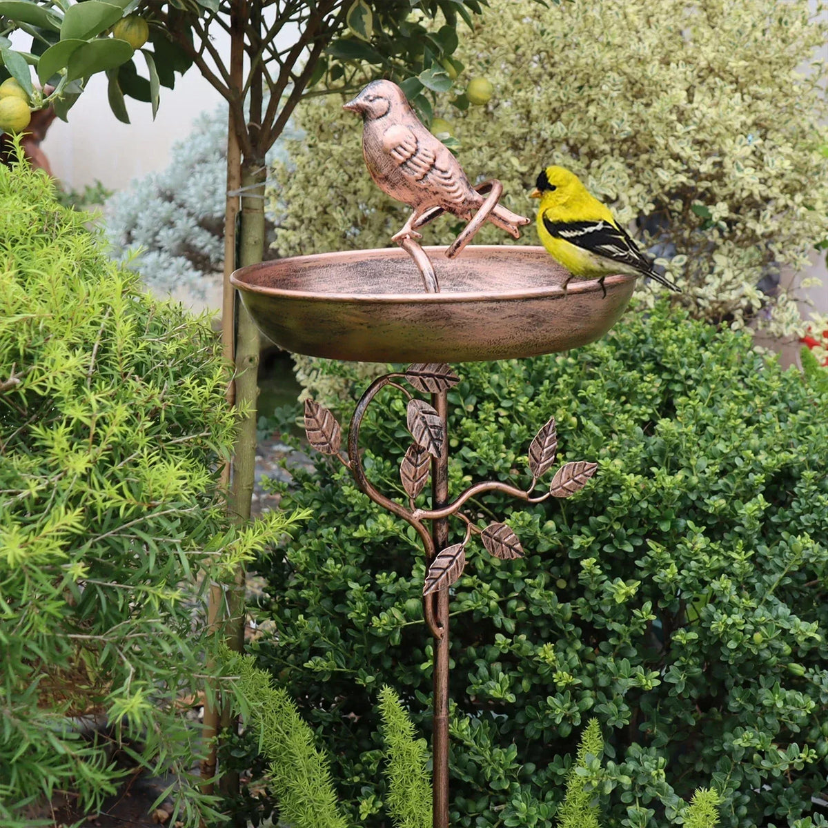 Vogeltränke mit Bodenspieß – dekorative Gartenschale für Wildvögel