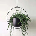 Hängepflanzgefäß aus Metall mit Kette – Ovaler oder Runder Rahmen product image 1