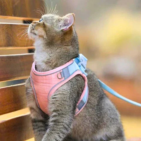 Katzengeschirr mit Leine – Komfortabler Sitz mit reflektierenden Sicherheitsstreifen product image 3