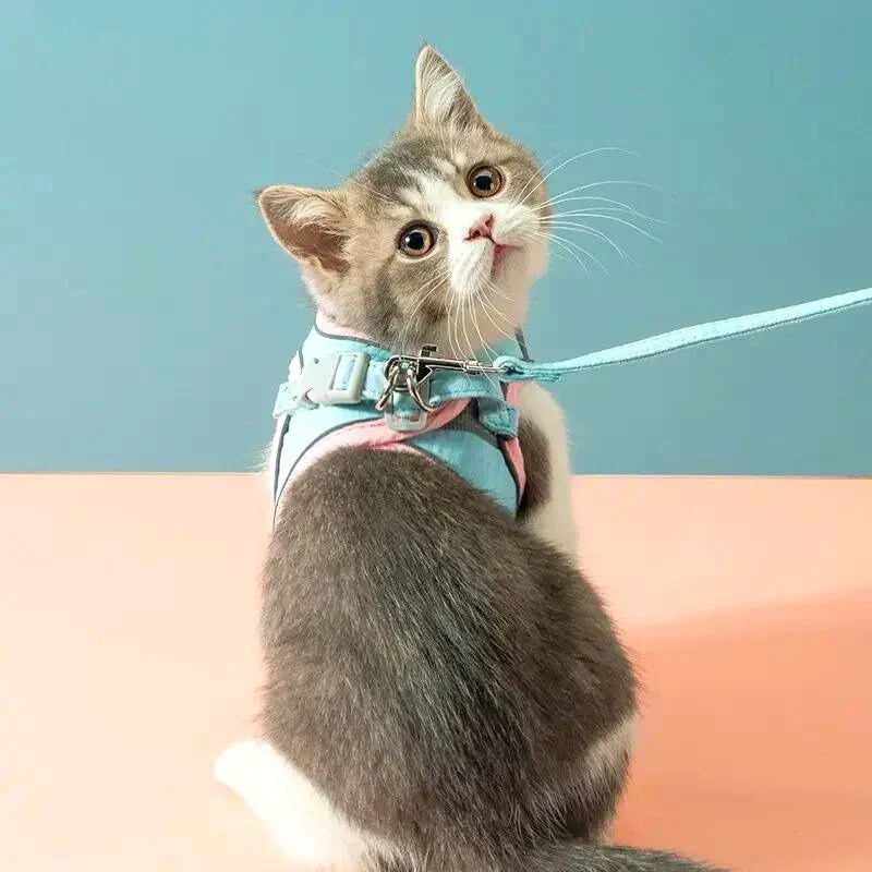 Katzengeschirr mit Leine – Komfortabler Sitz mit reflektierenden Sicherheitsstreifen product image 2