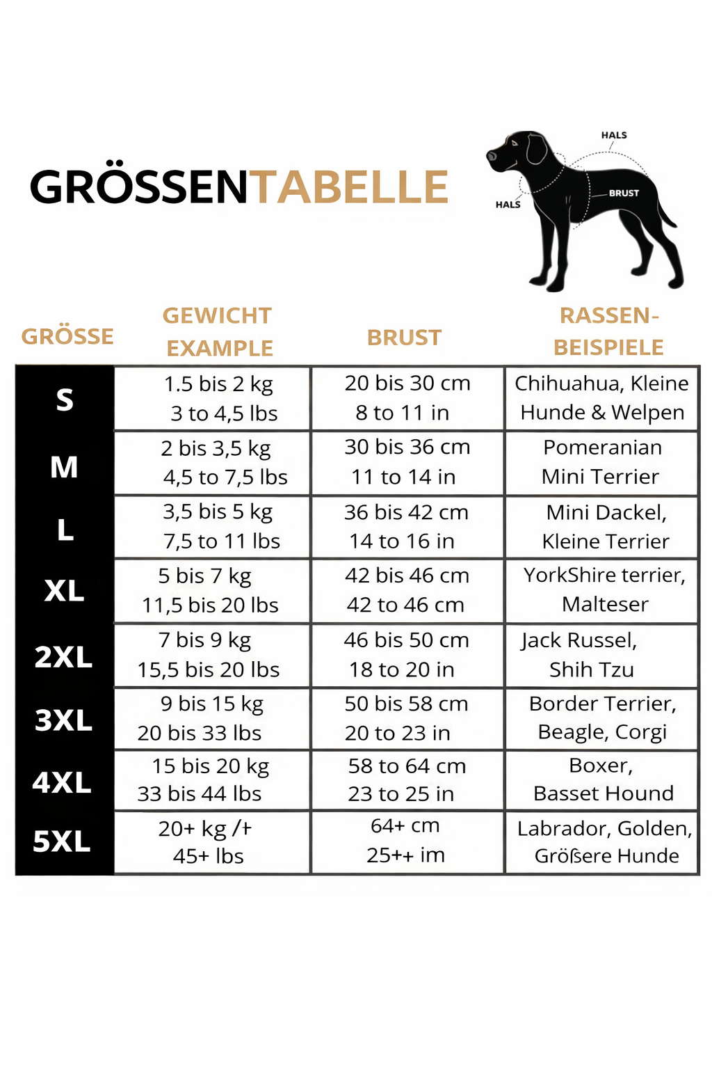 Hundejacke mit integriertem Geschirr – Schutz vor Wind, Regen und Kälte