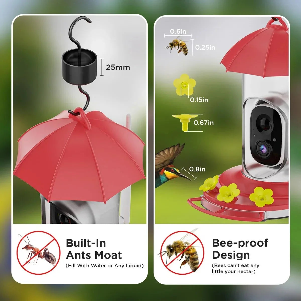 Vogelfutterer mit Kamera – 1080P Weitwinkel & WLAN-Übertragung