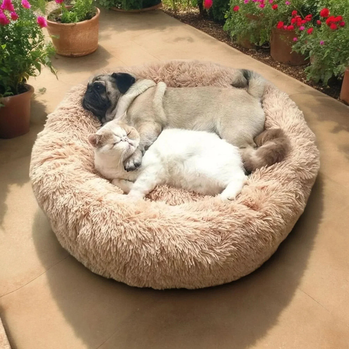 Soft dog bed with raised edge for restful sleep