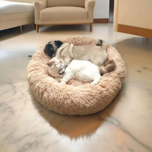 Weiches Hundebett mit erhöhtem Rand für entspannten Schlaf