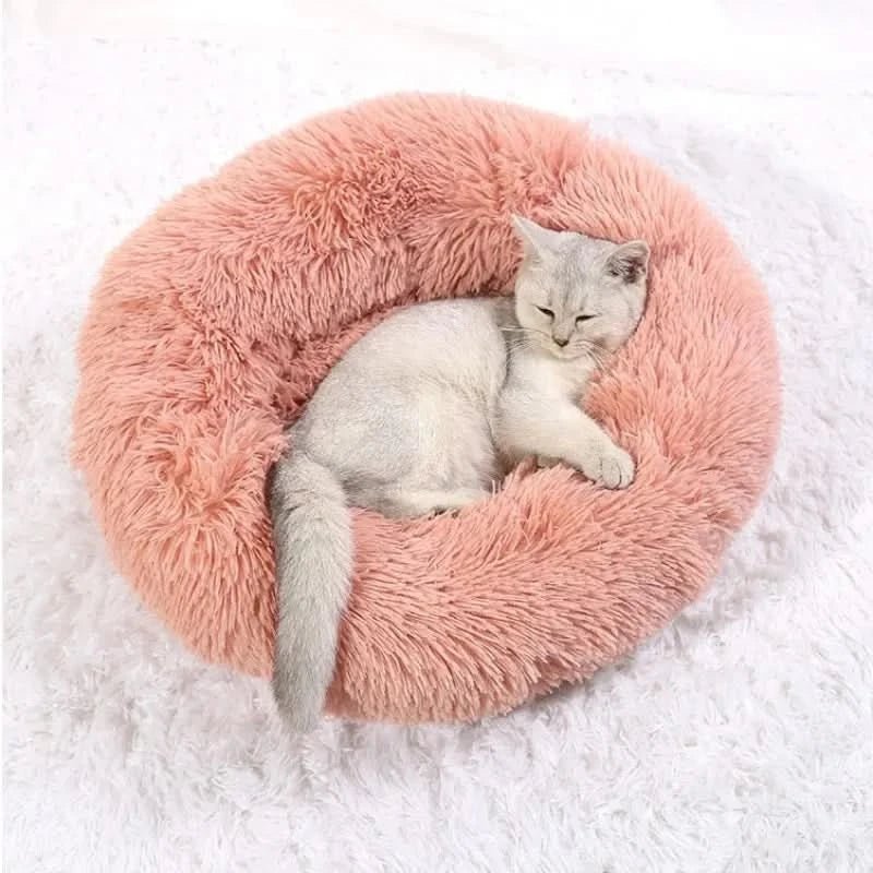 Soft dog bed with raised edge for restful sleep