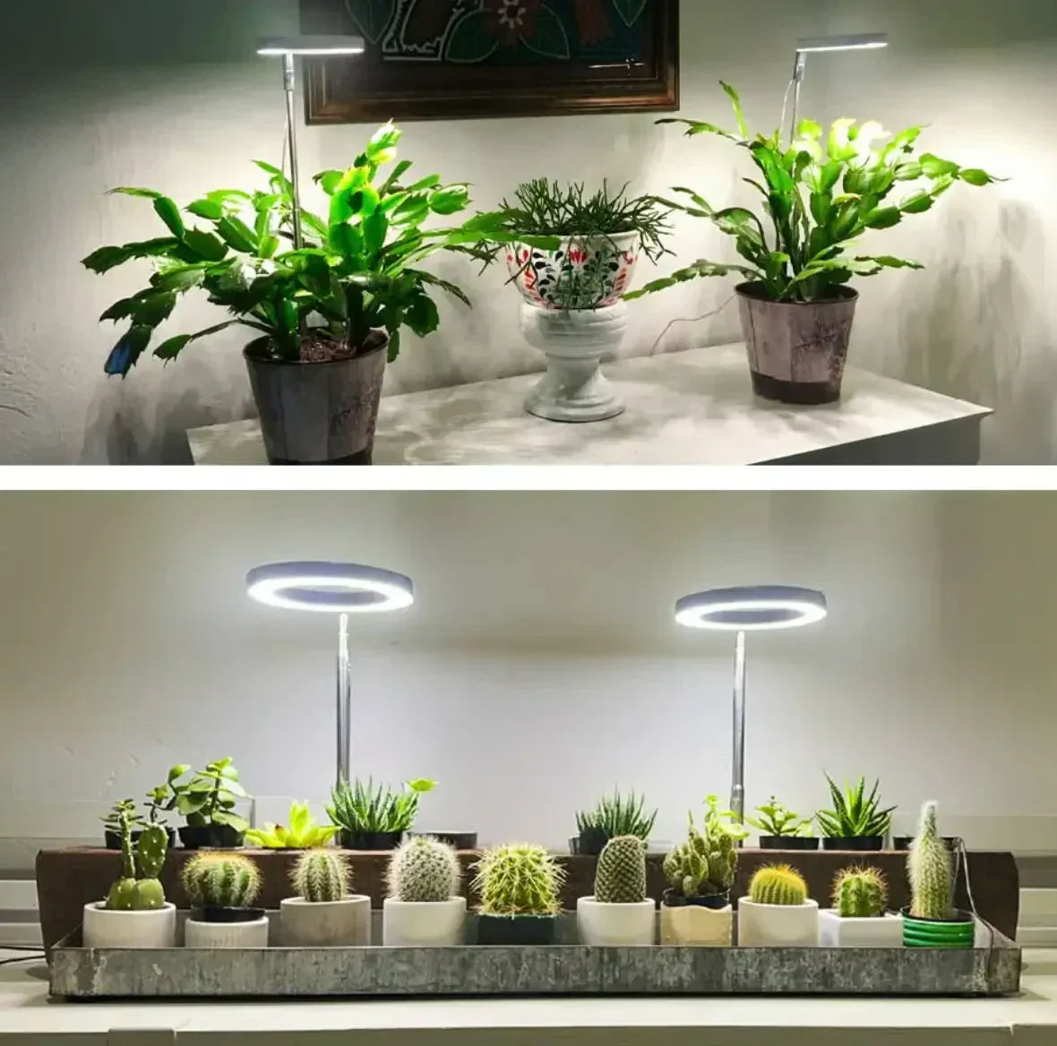 LED Pflanzenlampe mit Timer und dimmbarem Vollspektrum-Licht