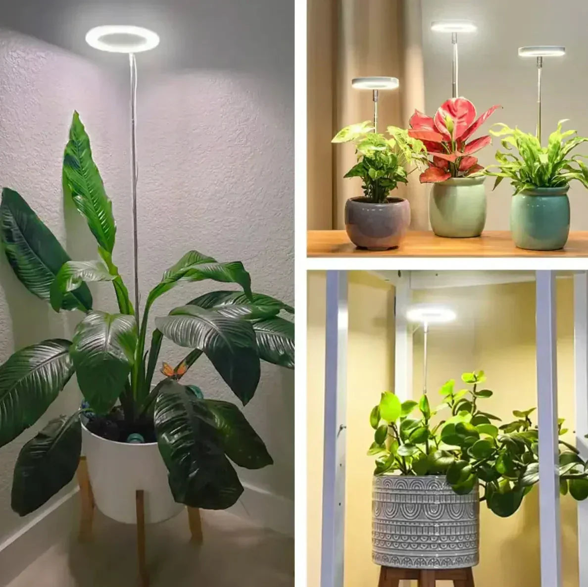LED Pflanzenlampe mit Timer und dimmbarem Vollspektrum-Licht