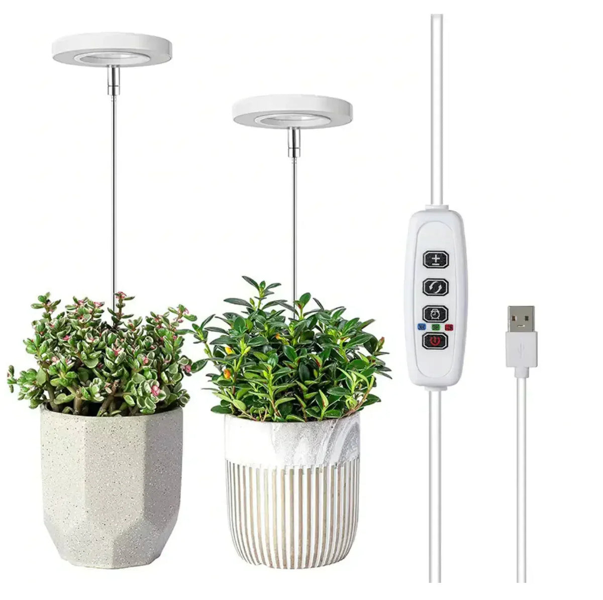 LED Pflanzenlampe mit Timer und dimmbarem Vollspektrum-Licht
