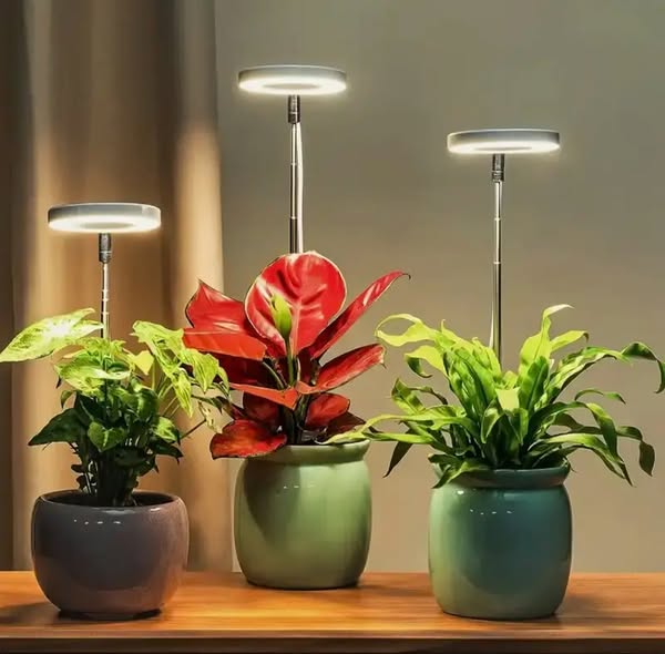 LED Pflanzenlampe mit Timer und dimmbarem Vollspektrum-Licht