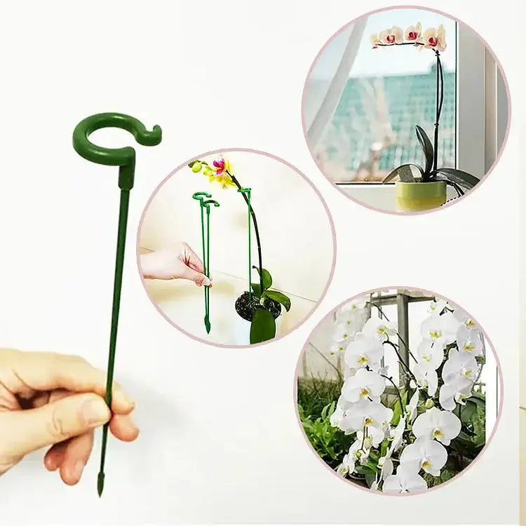 Pflanzenstütze Für Stabilen Wuchs Und Halt product image 3