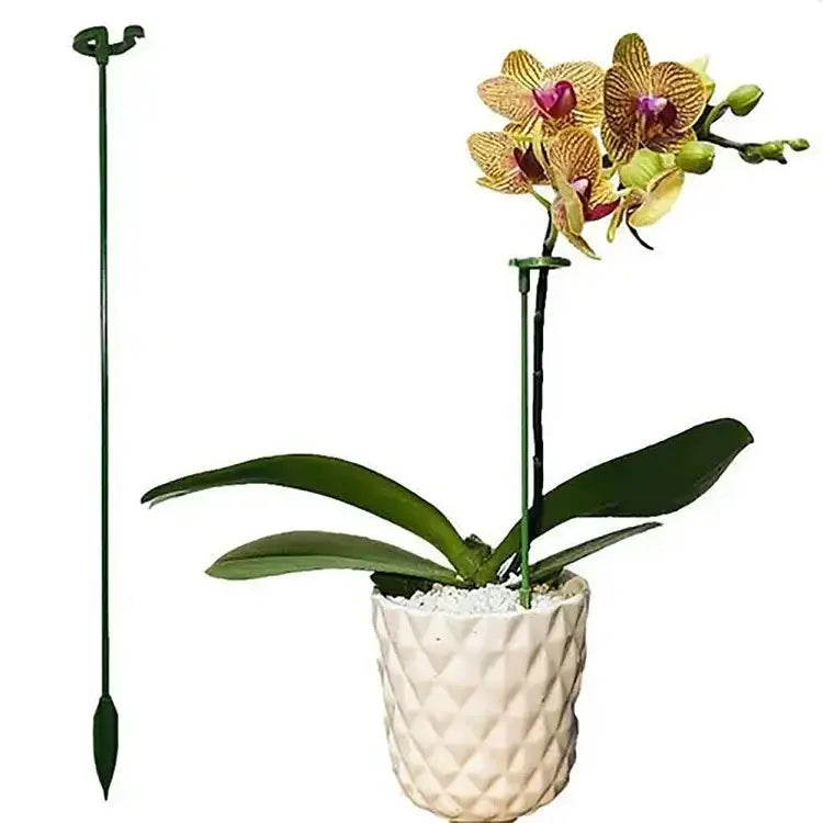 Pflanzenstütze Für Stabilen Wuchs Und Halt product image 5