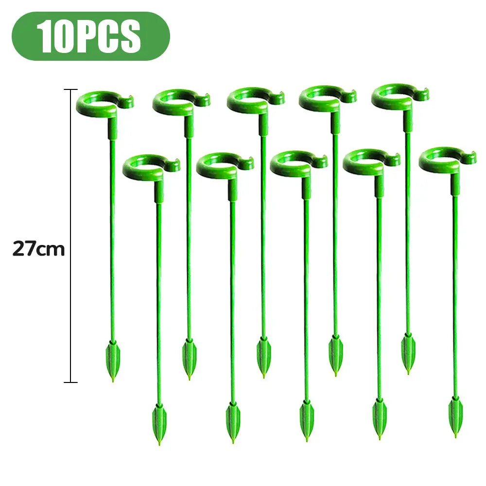 Pflanzenstütze Für Stabilen Wuchs Und Halt product image 10