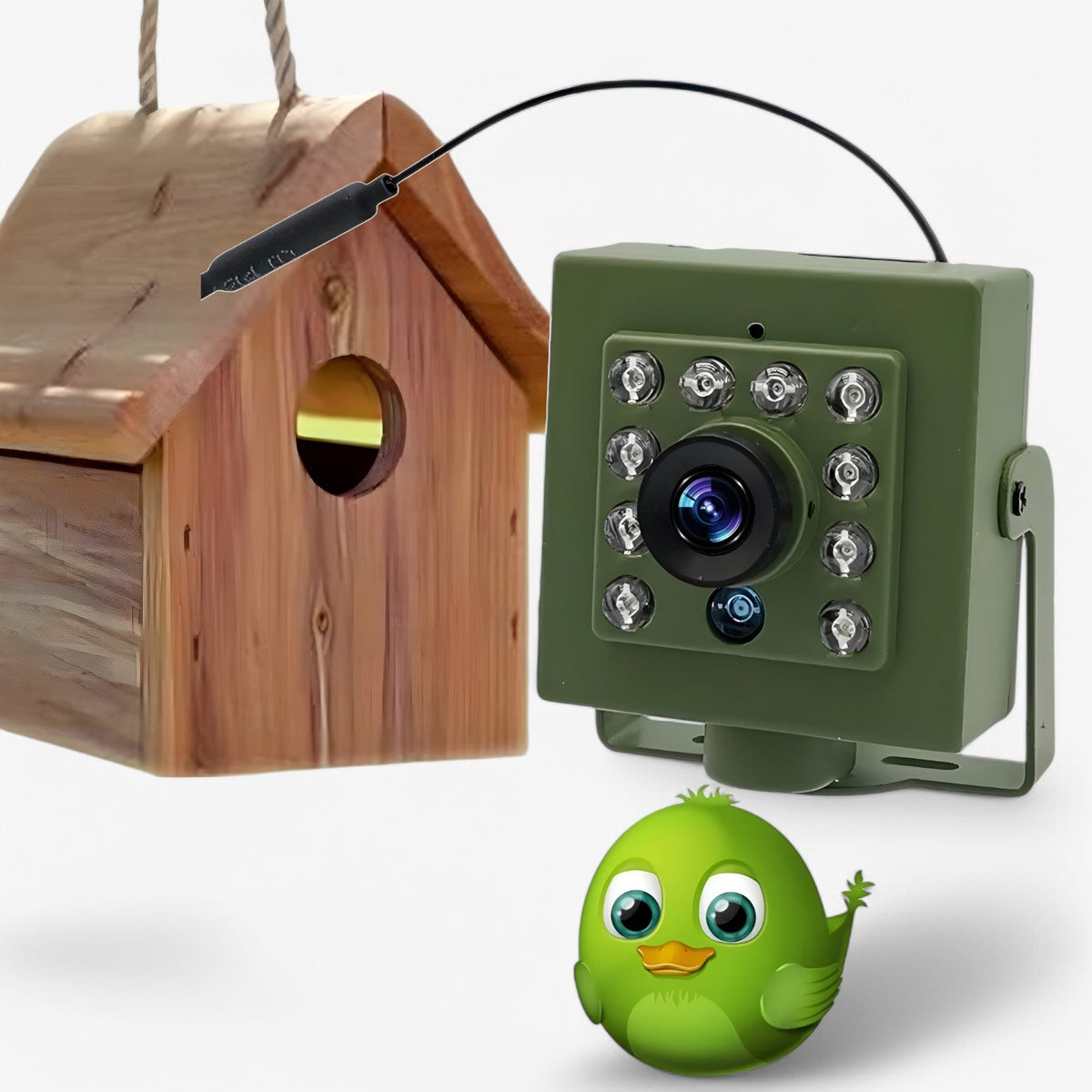 WLAN Nistkasten Kamera 1080p HD mit Farb-Nachtsicht für Vögel