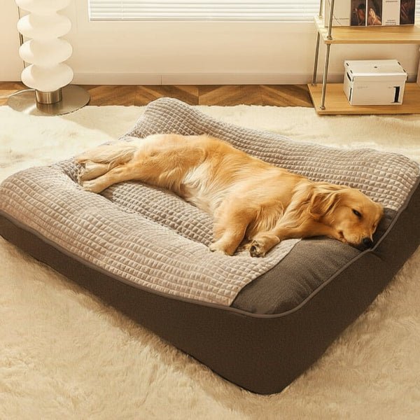 Orthopedic dog bed with neck support - scratch-resistant and washable