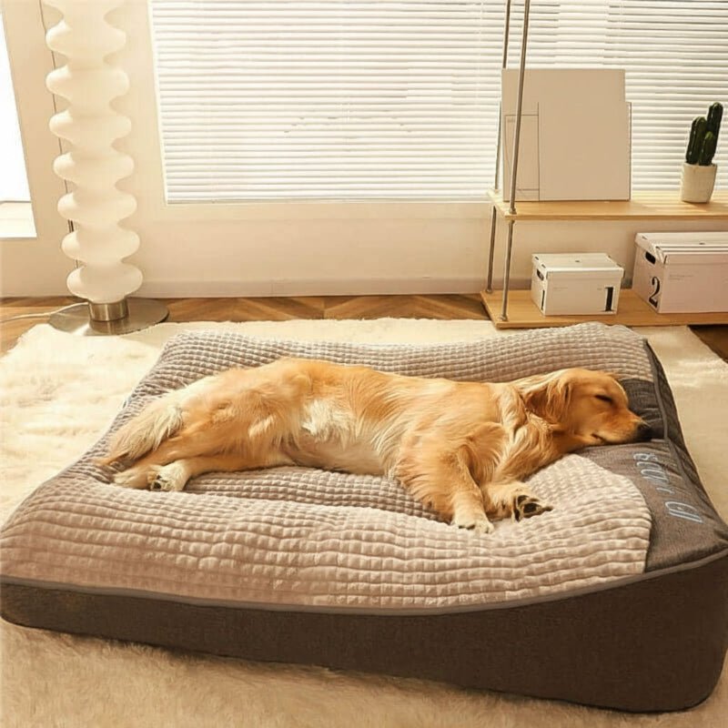 Orthopedic dog bed with neck support - scratch-resistant and washable