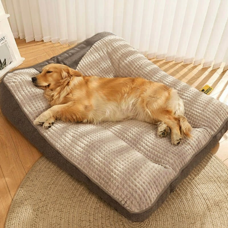 Orthopedic dog bed with neck support - scratch-resistant and washable