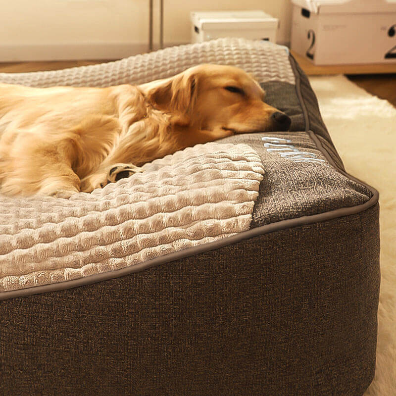 Orthopedic dog bed with neck support - scratch-resistant and washable