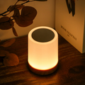 Dimmable LED night light with color-changing feature for bedrooms