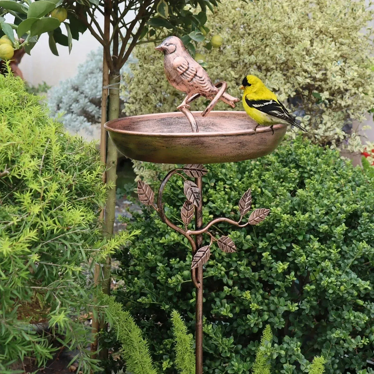 Vogeltränke mit Bodenspieß – dekorative Gartenschale für Wildvögel