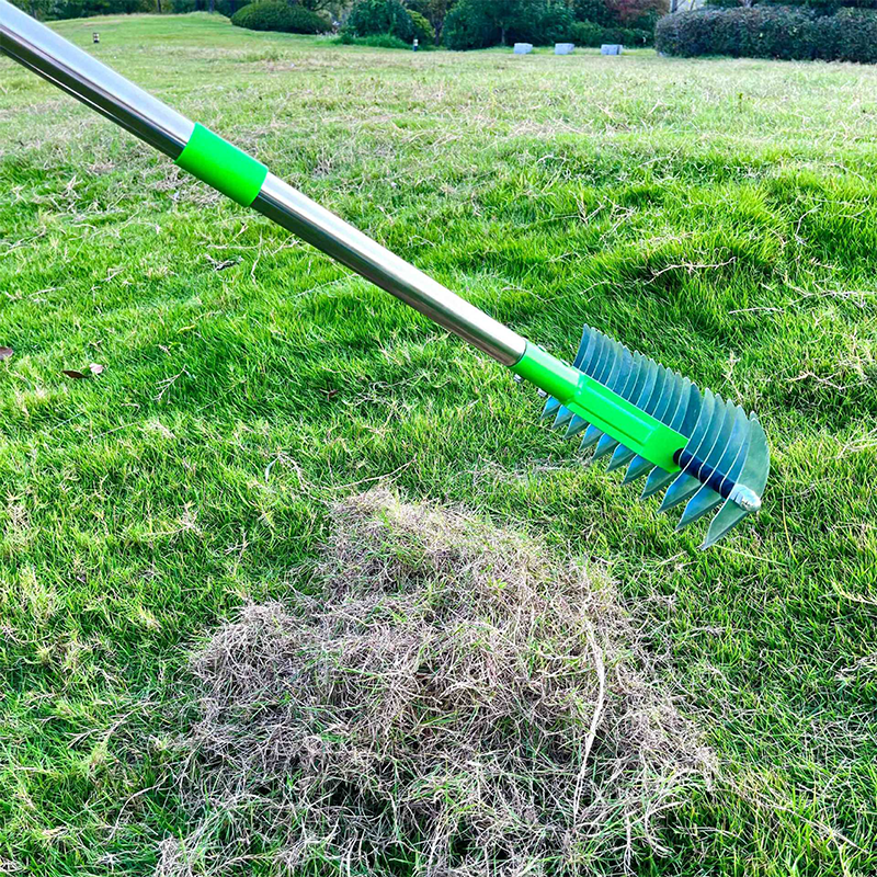 Vertikutierer mit Teleskopgriff – Ergonomisches Gartenwerkzeug