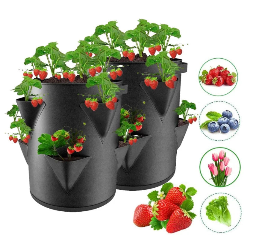 Atmungsaktive Pflanztasche aus Filz für Erdbeeren und Kräuter