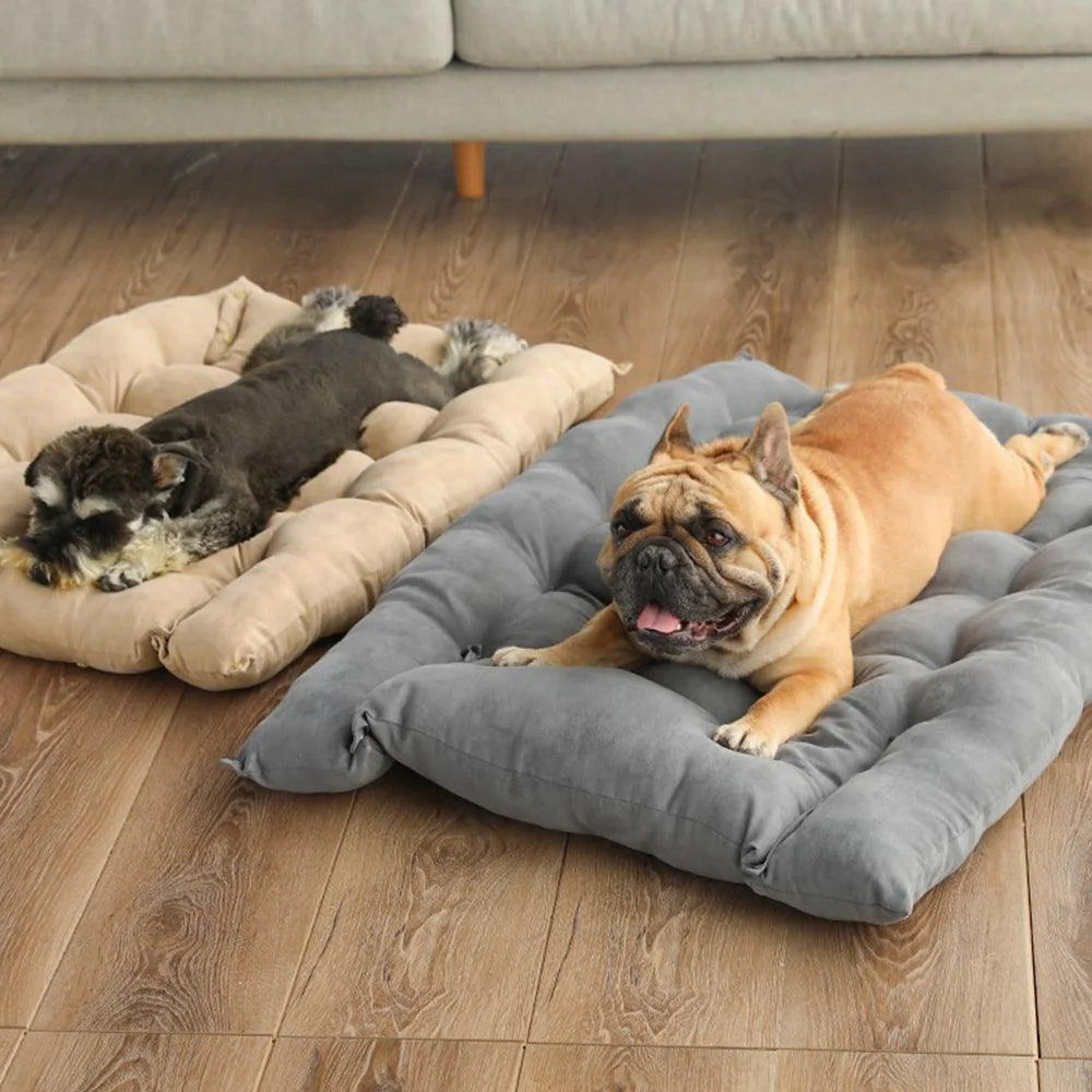 3-in-1 Haustierbett shown as flat mat with dogs sleeping