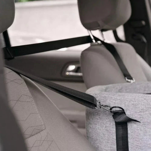 Auto-Hundesitz – Sicher & Gepolstert für Kleine Hunde bis 11 kg product image 2