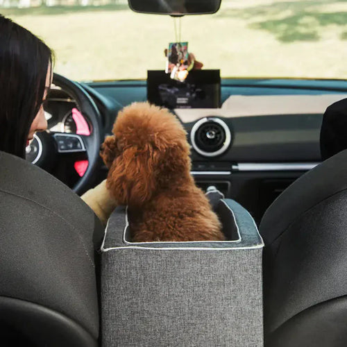 Auto-Hundesitz – Sicher & Gepolstert für Kleine Hunde bis 11 kg product image 1