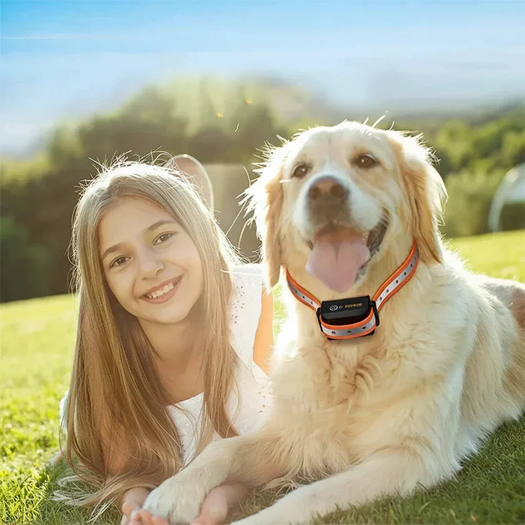 Hundetrainingshalsband mit Fernbedienung – 1000 m Reichweite, 3 Modi product image 3